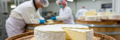 Производители сыра бри устраняют нарушения и улучшают свою продукцию /    