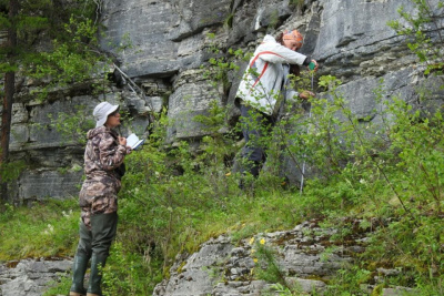 В Якутии ученые собрали уникальные образцы кембрийского периода / Майя Гоголева   
