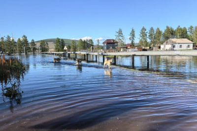 Паводок в Якутии осложнил кормозаготовительную кампанию / ЯСИА   Республика Саха (Якутия)