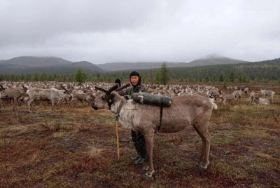 В Якутии планируют запустить фьючерсы на поставку оленей / ЯСИА   Республика Саха (Якутия)