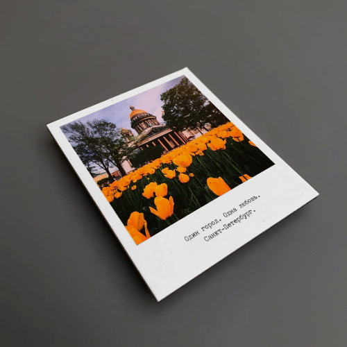 Магнит "Исаакиевский собор, тюльпаны" фото 70х85 мм