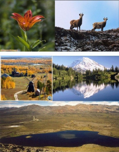 15 апреля приглашаем на семинар по туризму /   Мирнинский 