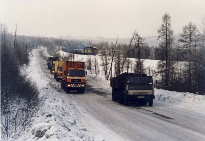 Действие диагностических карт на Крайнем Севере продлят на год / ЯСИА   