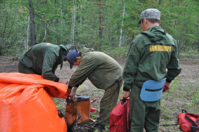 Не становитесь виновником лесного пожара! /   Мирнинский 
