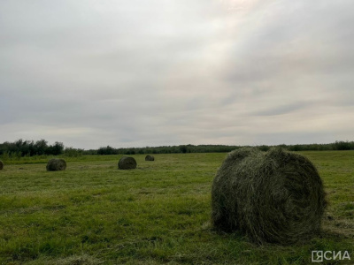 В Якутии заготовлено более 13 000 тонн сена / ЯСИА   