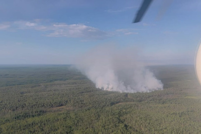 Крупный лесной пожар локализовали в Сунтарском районе / ЯСИА   