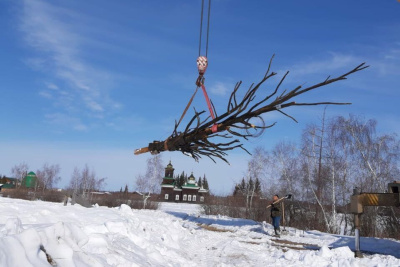 В Черкехском музее установили восстановленное священное дерево Аал Луук мас / ЯСИА   