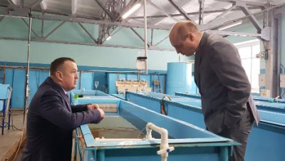 Рыбоводческое производство набирает обороты /   Мирнинский Мирнинский
