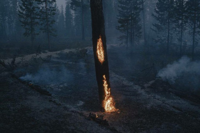 В Нидерландах открывается флагманская выставка World Press Photo / ЯСИА   