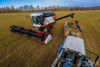 План посевной кампании в Якутии составляет 51 тысячу гектаров / Майя Гоголева   Республика Саха (Якутия)