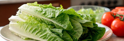 Салат романо: зеленый король на вашем столе