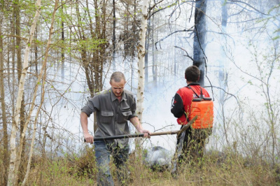 Требования пожарной безопасности в лесах просты и выполнимы /   Мирнинский Мирнинский