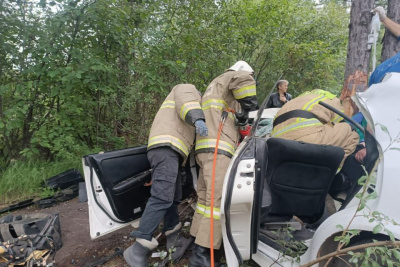 В Нерюнгринском районе автомобиль наехал на дерево / ЯСИА   
