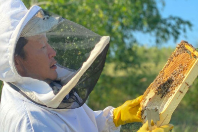 В Якутии предложили создать селекционно-племенной репродуктор для развития пчеловодства / Дмитрий Осипов   Республика Саха (Якутия)