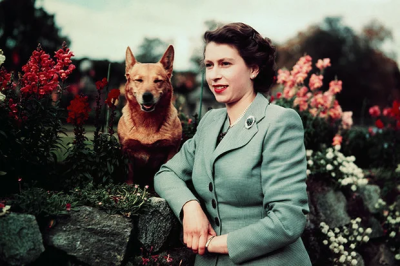 Фитнес-тренер Елизаветы II рассказала о рационе 96-летней королевы / ЯСИА   