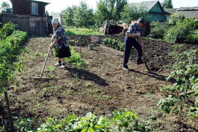 Росреестр: Россиянам больше не нужно подтверждать старые границы своих 6 соток / ЯСИА   