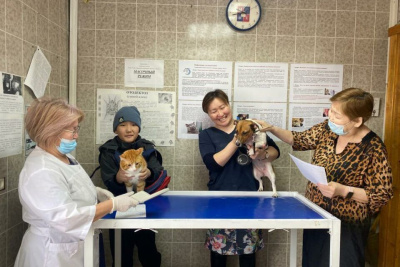 Более 1500 животных привили от бешенства в Якутске и Жатае / ЯСИА Якутск Якутск Республика Саха (Якутия)