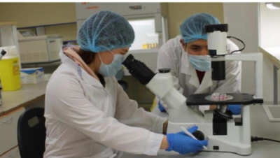 Высшая школа экономики: России нужна национальная программа по возвращению ученых в страну / ЯСИА   