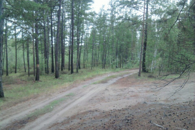 Стало известно, куда можно выехать на отдых на природе в окрестностях Якутска / ЯСИА Якутск Якутск Республика Саха (Якутия)