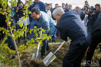 В парке Победы города Якутска высадят 2000 саженцев сосны и березы / ЯСИА Якутск Якутск Республика Саха (Якутия)