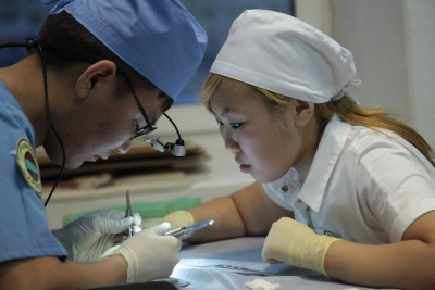 Студентов-медиков медколледжей включат в программы «Земский доктор» и «Земский фельдшер / ЯСИА   