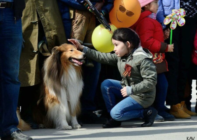 Владельцы ездовых и служебных собак Якутии примут участие в военно-патриотическом шествии / ЯСИА   Республика Саха (Якутия)