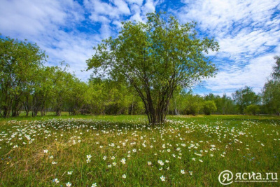 Следующие длинные выходные ожидают россиян в июне / ЯСИА   