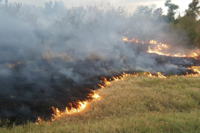 Александра Шибина: Незаконные сельхозпалы могут стать причиной крупных пожаров / Айаал Аргунов   