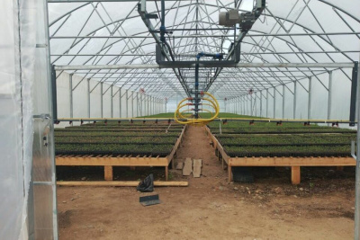 В Алданском районе открыли тепличный комплекс для выращивания хвойных саженцев / Майя Гоголева   