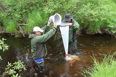 Ученые СВФУ оценили экологическое состояние Чаяндинского месторождения / ЯСИА   