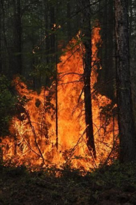 Огонь уже виден /   Мирнинский Мирнинский