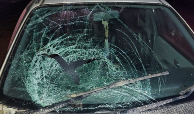 В Чурапчинском районе произошел наезд на пешехода / ЯСИА  Чурапчинский Республика Саха (Якутия)