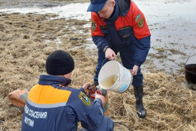 В Якутии отмечается I-II класс пожарной опасности леса / ЯСИА   Республика Саха (Якутия)