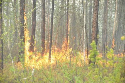 В этом году гореть тайга начала на две недели раньше /   Мирнинский Мирнинский