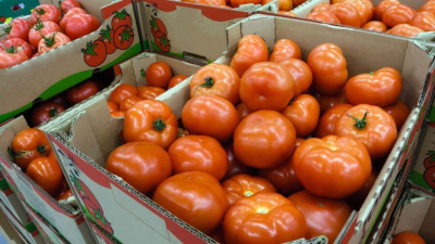 Врач рассказала о простом способе проверки помидоров на нитраты / ЯСИА   
