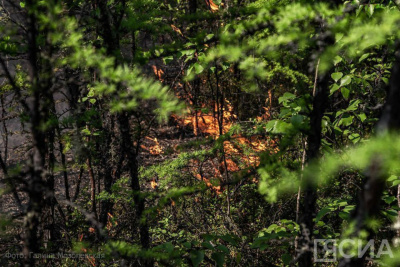 Эксперт: Якутский опыт борьбы с лесными пожарами актуален для всей страны / ЯСИА   Республика Саха (Якутия)