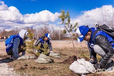 Акция "Сад Памяти". В Якутске в парке Победы высадили 2000 саженцев / Айаал Аргунов Якутск Якутск Республика Саха (Якутия)