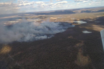 В Амгинском улусе зарегистрирован один лесной пожар / ЯСИА  Амгинский Республика Саха (Якутия)