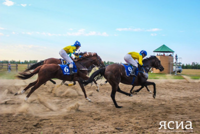 В Якутии пройдут соревнования по конному спорту к столетию республики / ЯСИА   Республика Саха (Якутия)