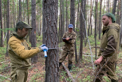 Отдавшие лесному делу душу и сердце. Ведущей лесоучетной организации - 85 лет / Анастасия Филиппова   