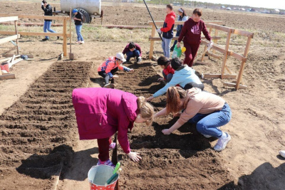 В Якутии восстанавливают популяцию лилии пенсильванской / ЯСИА   Республика Саха (Якутия)