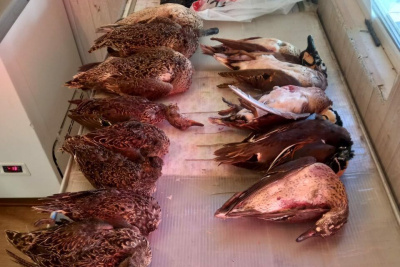 На Крестьянском рынке Якутска продавали уток, занесенных в Красную книгу / ЯСИА Якутск Якутск Республика Саха (Якутия)