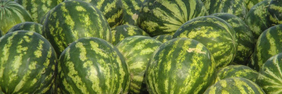 Как выбрать спелый арбуз