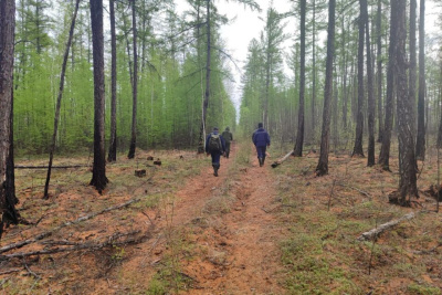 В Чурапчинском районе возобновили поиски пропавшей пенсионерки / ЯСИА   