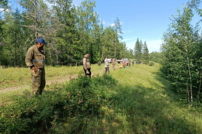 На Вилюйском тракте разыскивают потерявшегося грибника / ЯСИА   