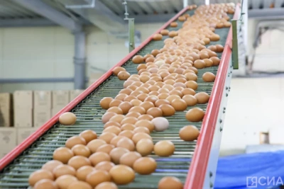 По надою молока и производству яиц Якутия заняла четвертое место на Дальнем Востоке / ЯСИА   