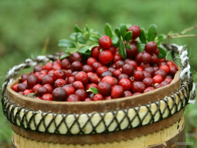Народные приметы: август без дождя — к теплой и сухой осени / ЯСИА   