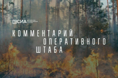 В Якутии обнаружили еще один лесной пожар / Виктория Сергеева   Республика Саха (Якутия)