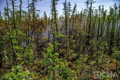 В Якутии проведут эксперимент по вызову осадков для борьбы с пожарами / ЯСИА   Республика Саха (Якутия)