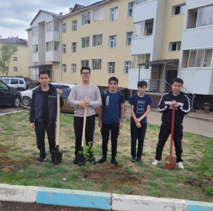 Всемирная экологическая акция «Марафон зеленых дел»: студенты МРТК облагородили территорию общежития /   Мирнинский 